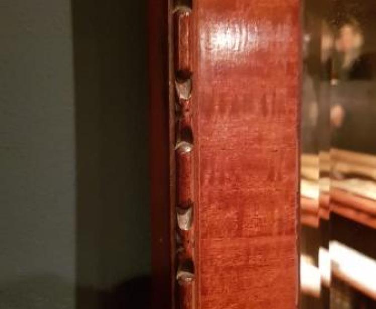 Superb Victorian Mahogany Mirror - Image 3