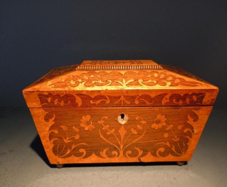 Fine Regency Rosewood & Satinwood Inlaid Tea Caddy - Image 1