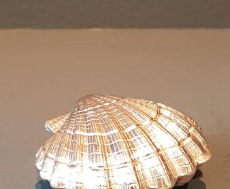 Silver Shell Pill Box - Image 1