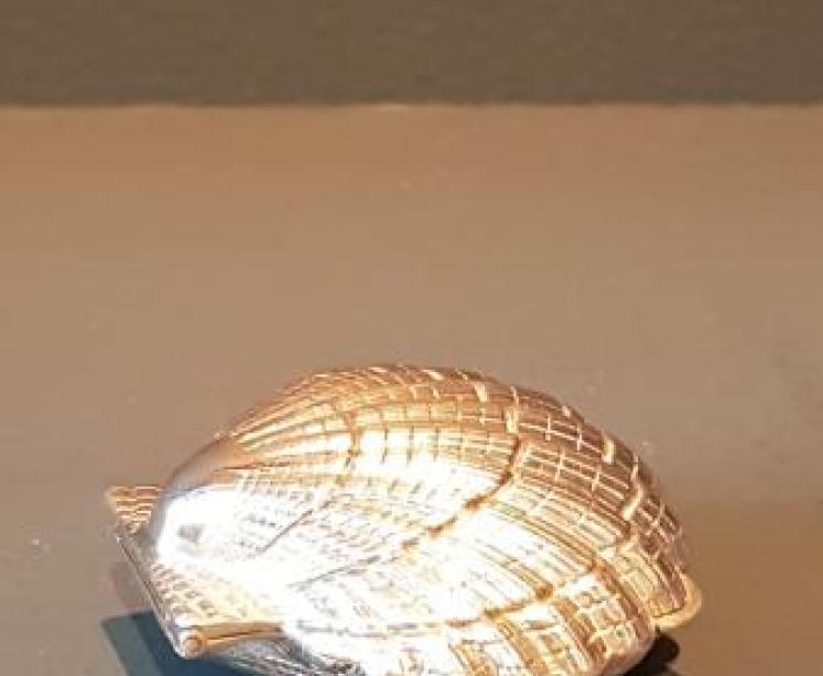 Silver Shell Pill Box - Image 2