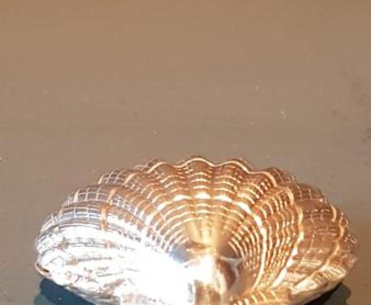 Silver Shell Pill Box - Image 7