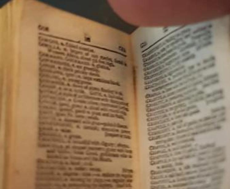 Rare Victorian Miniature Silver Cased Dictionary - Image 6