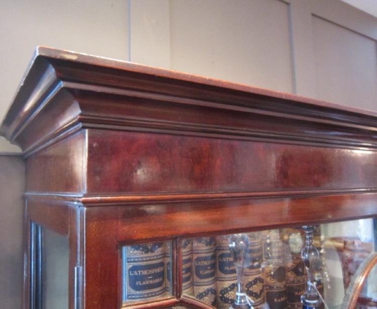 George III Style Astrayal Glazed Display Cabinet - Image 5