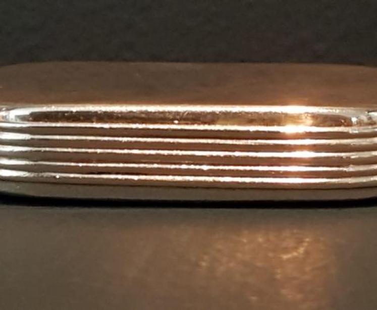 Victorian Silver Trick Vesta Case - Image 2