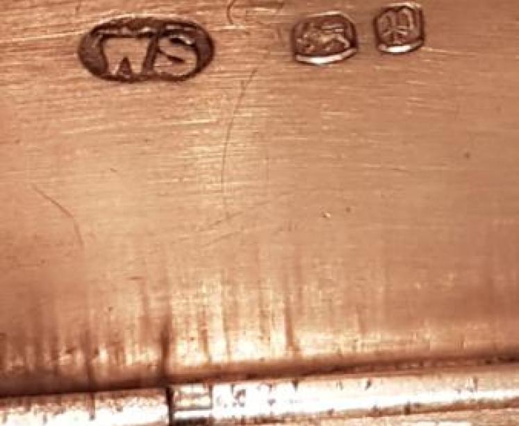 Victorian Silver Trick Vesta Case - Image 4