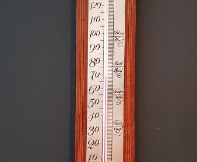 Edwardian Inlaid Mahogany Thermometer - Image 1