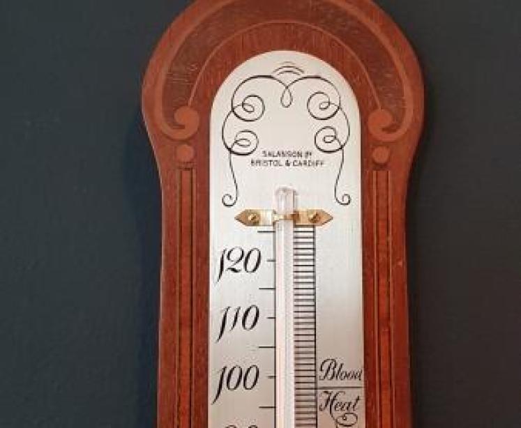 Edwardian Inlaid Mahogany Thermometer - Image 4