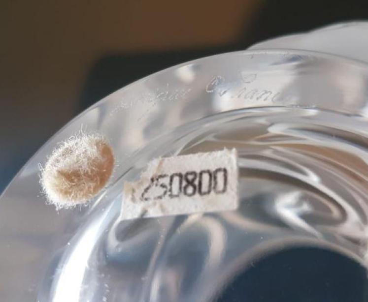 Lalique Dolphins Vase - Image 4