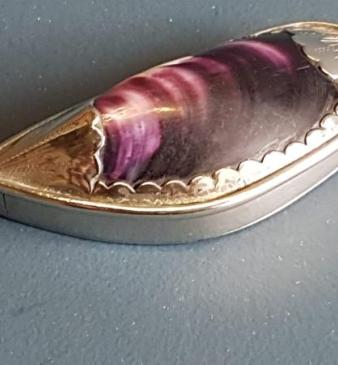 Collectable Silver and Shell Vesta Case