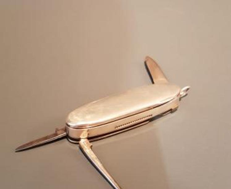 Unusual Silver Vesta and Pen Knife - Image 2