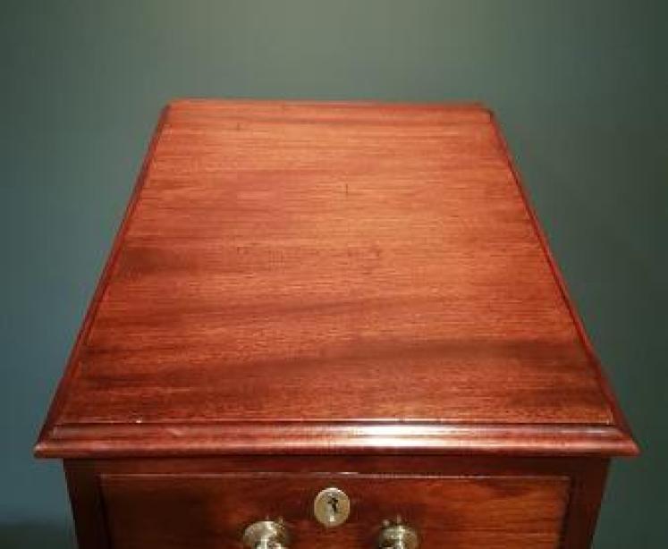George III Mahogany Estate Chest - Image 4