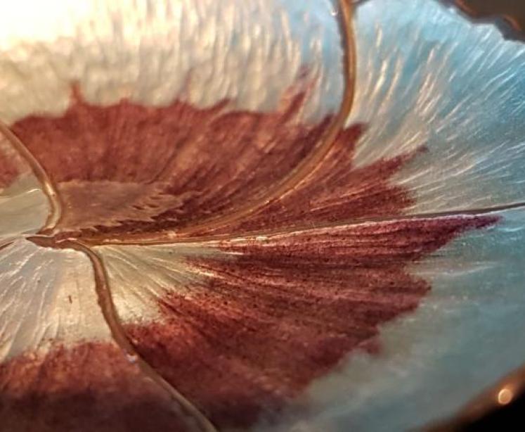 Silver and Enamel Anemone Pin Dish  - Image 4