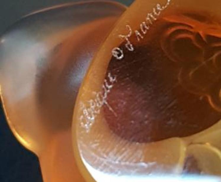 Lalique Amber Duck - Image 4