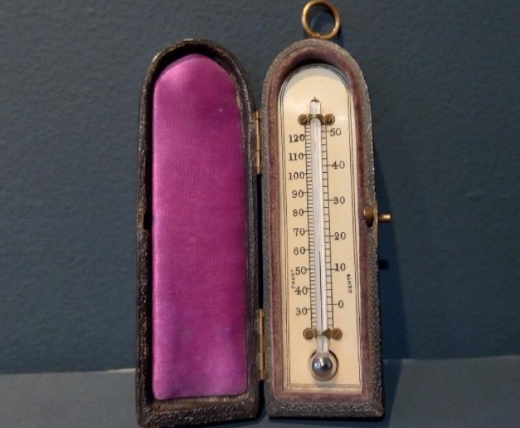 Antique Bone Scale Pocket Thermometer - Image 1