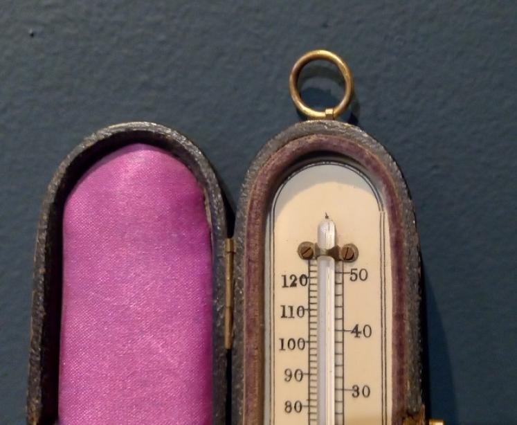 Antique Bone Scale Pocket Thermometer - Image 3