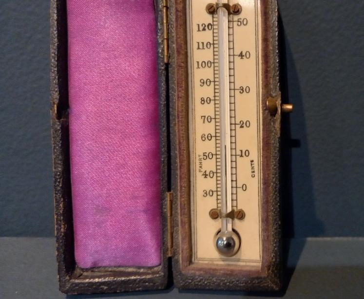 Antique Bone Scale Pocket Thermometer - Image 4