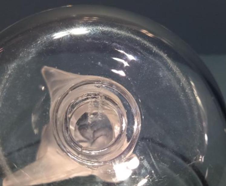 Lalique Opalescent Bird Ring Tray - Image 5