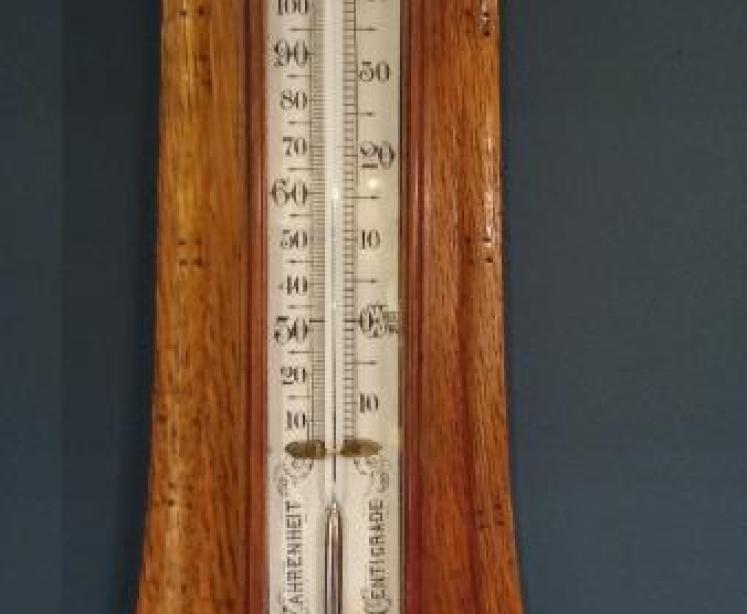 Antique Admiral Fitzroy Banjo Barometer - Image 4