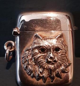 Edwardian Silver Cat Motif Vesta Case