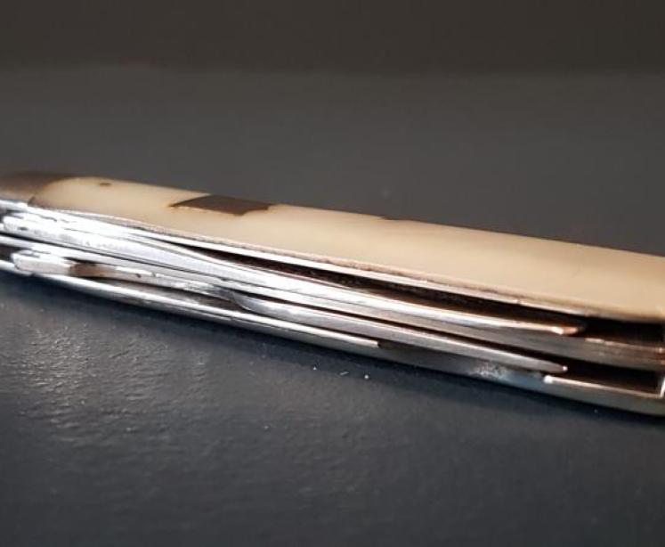 Silver and Mother of Pearl Campaign Knife and Fork - Image 3
