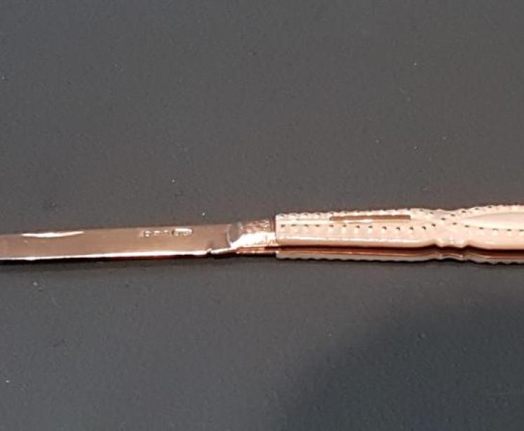 Silver and Mother of Pearl Fruit Knife - Image 3