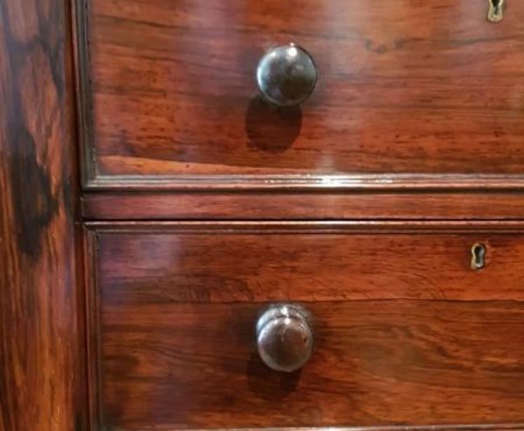 Fine Quality Early Victorian Wellington Chest - Image 3