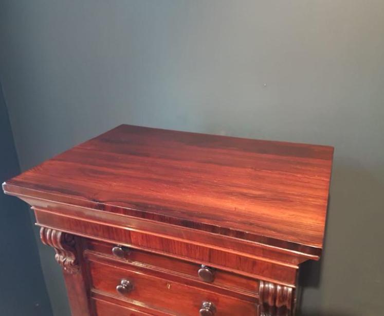 Fine Quality Early Victorian Wellington Chest - Image 4