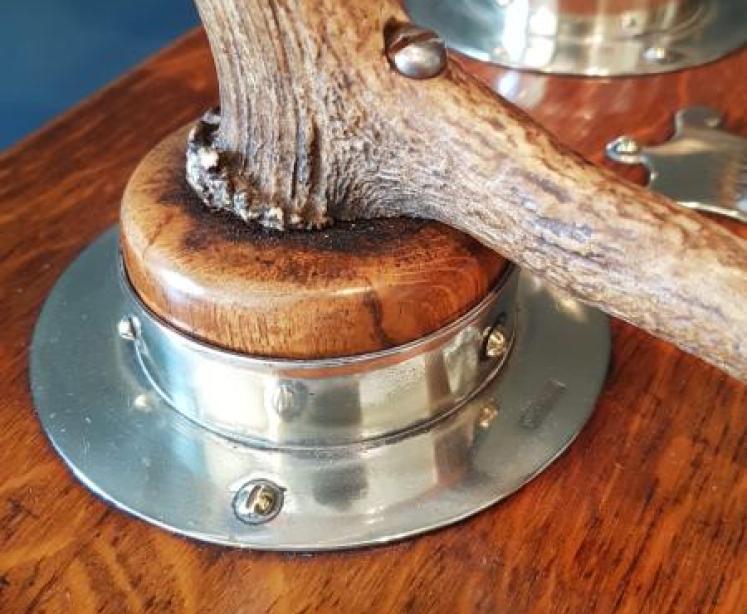 Victorian Country House Deer Antler Dinner Gong - Image 5