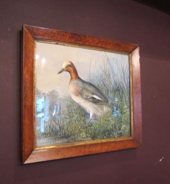 Superb Mid Victorian Watercolour Game Study