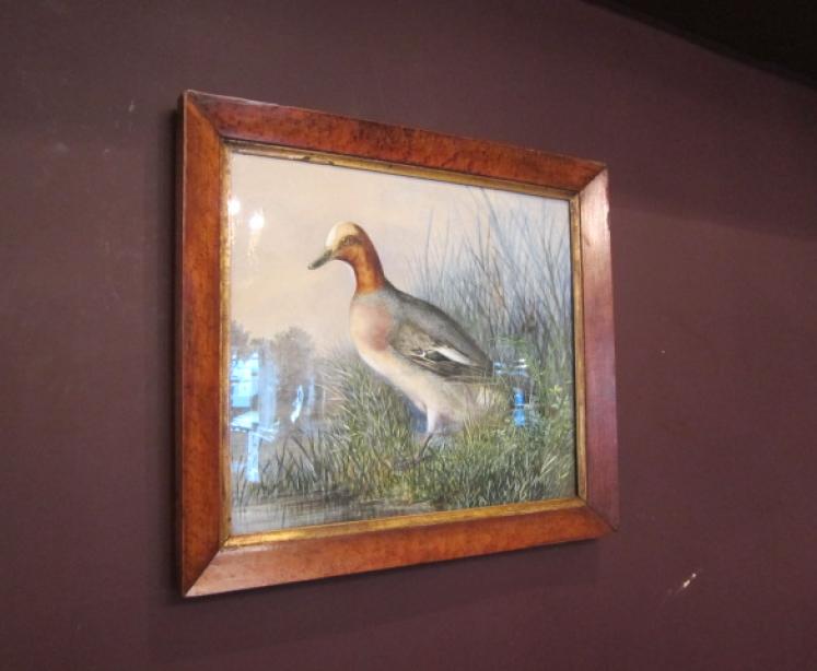 Superb Mid Victorian Watercolour Game Study - Image 1