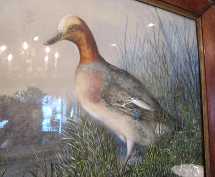 Superb Mid Victorian Watercolour Game Study - Image 4