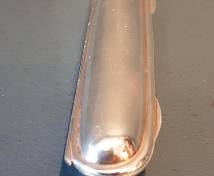 Victorian Silver Cigar Case - Image 4