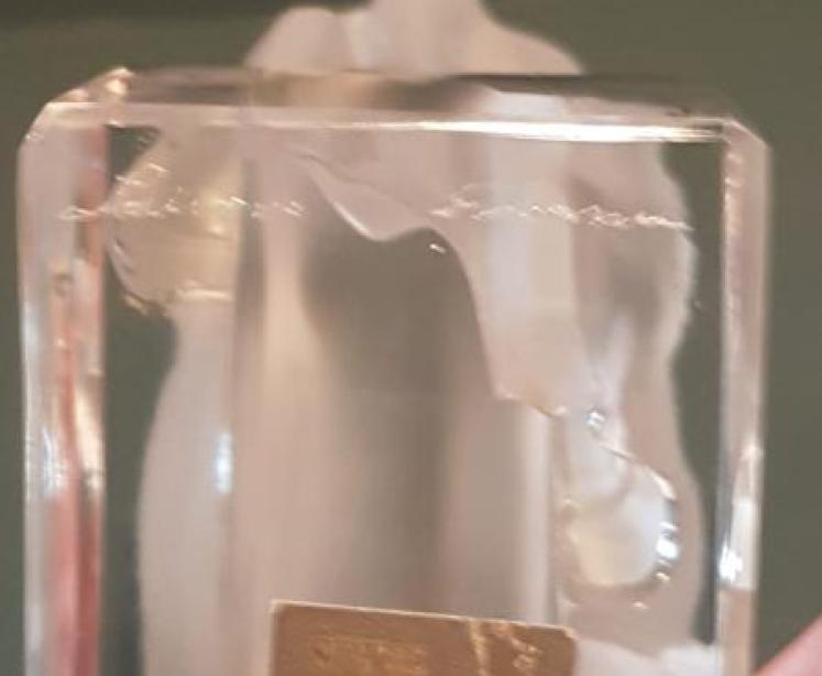 Lalique Opalescent Bull Paperweight  - Image 5