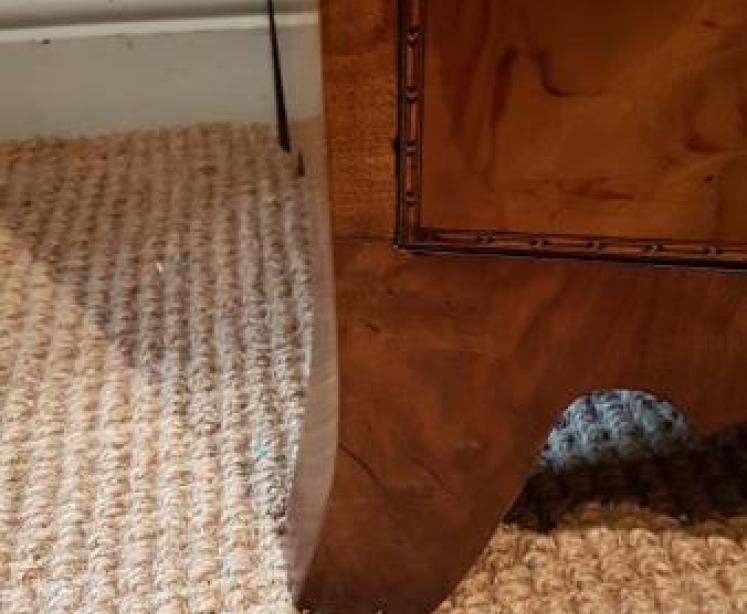 Regency Inlaid Figured Walnut Bow Front Chest - Image 6