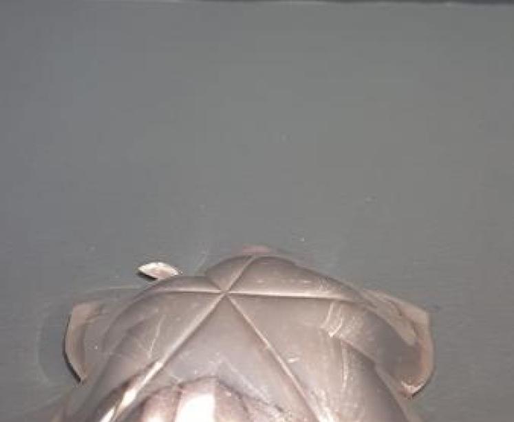 Tiffany Solid Silver Pin Tray - Image 5