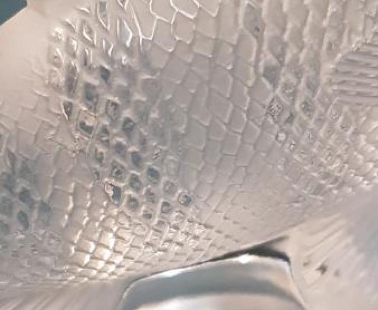 Lalique Fish - Image 3