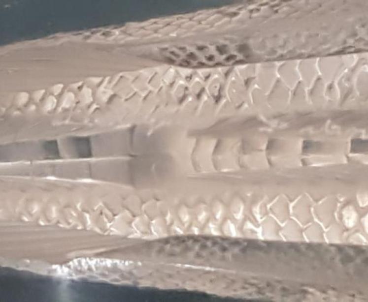 Lalique Fish - Image 5