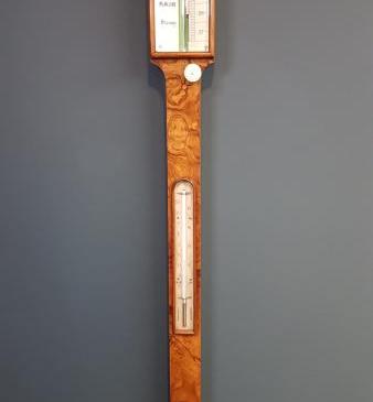 Victorian Burr Walnut Stick Barometer