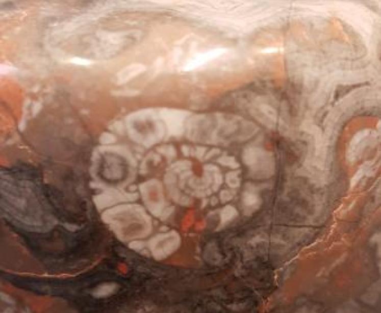 Pair of Victorian Grand Tour Marble Bookends - Image 5