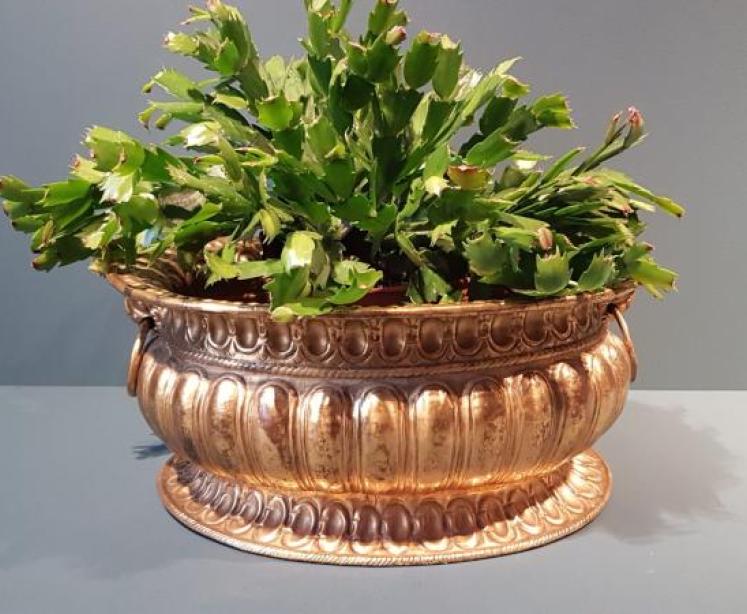 George III Gilt Brass Wine Cooler or Planter - Image 7
