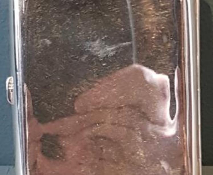 Edwardian Silver Cheroot Case - Image 3