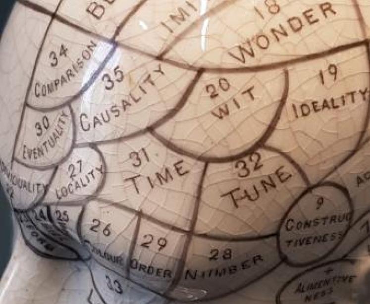 Victorian Bridges Phrenology Head Pen & Ink Stand  - Image 7