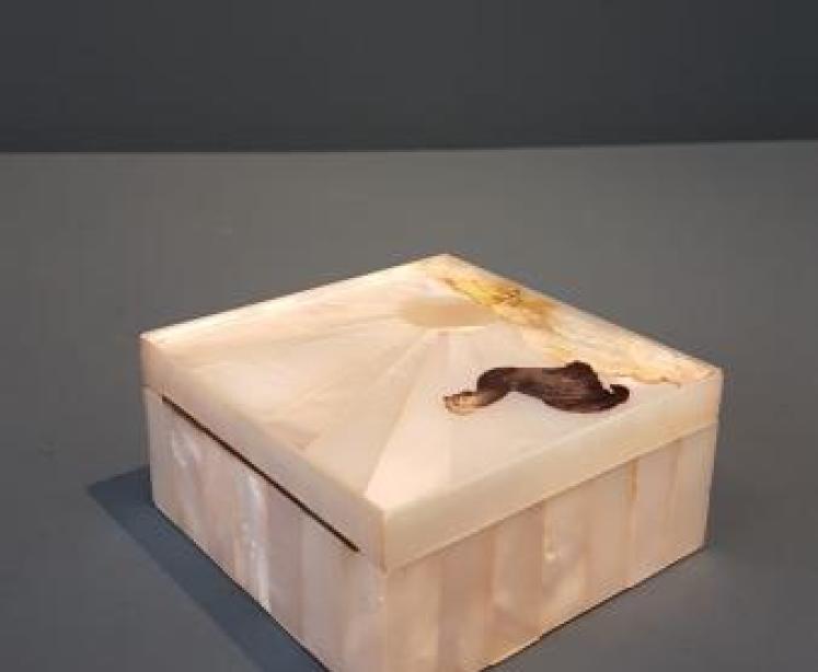 Superb Austrian Carved Mother of Pearl Table Box - Image 4