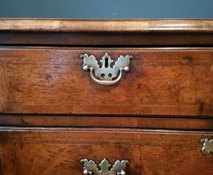 Georgian Walnut Chest of drawers  - Image 6