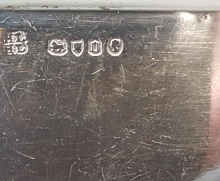 Victorian Silver and Lizard Skin Hip Flask - Image 5