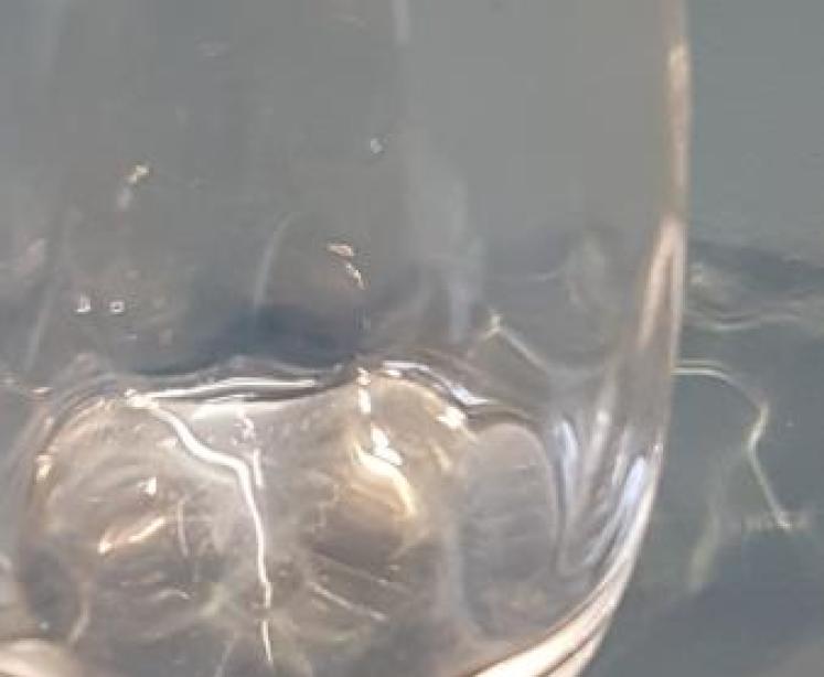 Edwardian Silver Topped Jam Pot and Matching Spoon - Image 6