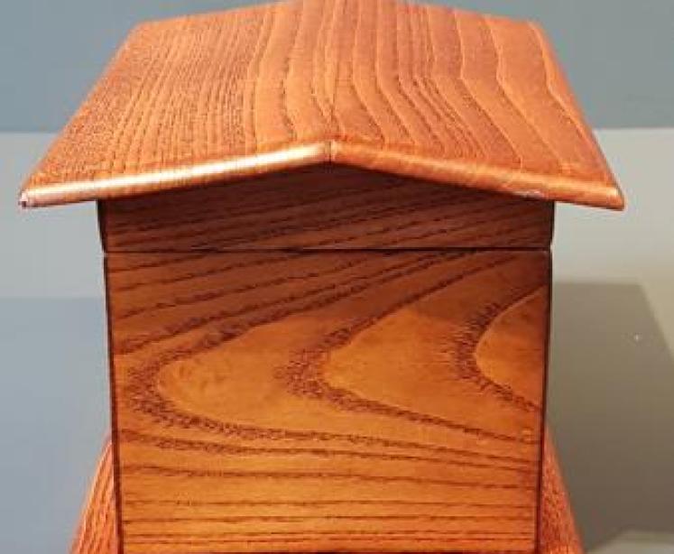 Rare Victorian Bulldog in Kennel Ash Tea Caddy  - Image 3