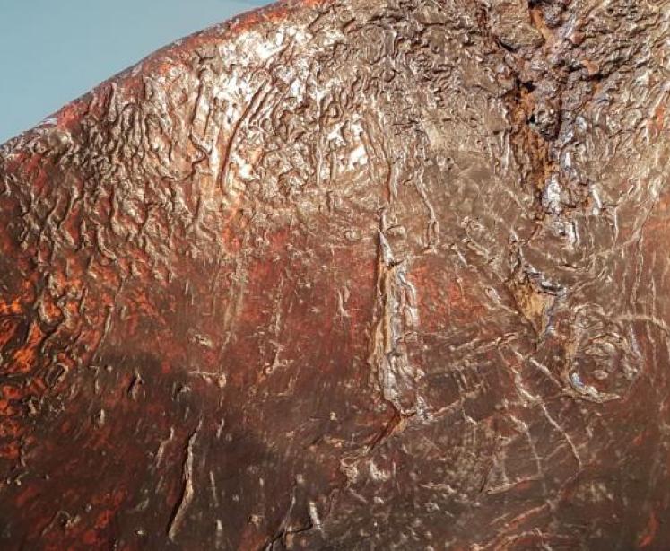 Large Georgian Turned Oak Root Bowl - Image 4