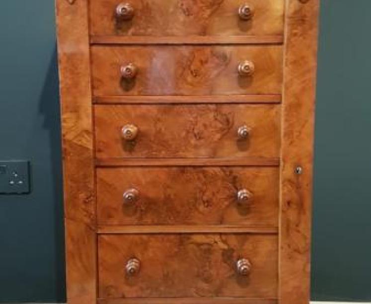 Victorian Burr Walnut Wellington Chest - Image 6