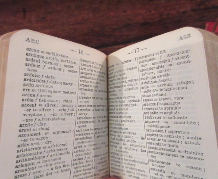 Rare Pair of Edwardian Period Leather Bound Bookends - Image 5